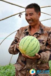 浙江男网红吃瓜